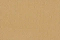Chino 3 Camel
